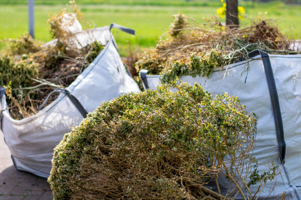 Best Residential Junk Removal  in Old Forge, PA